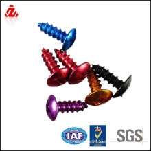 colorful decorative screws